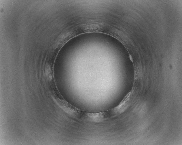 X0000076090187200609221207