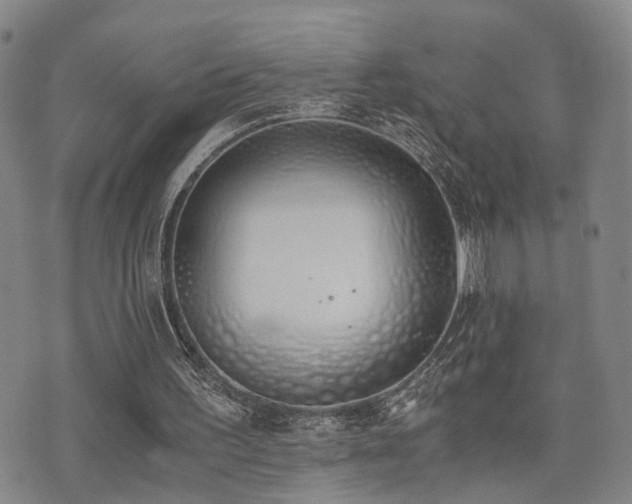 X0000076090195200609221206
