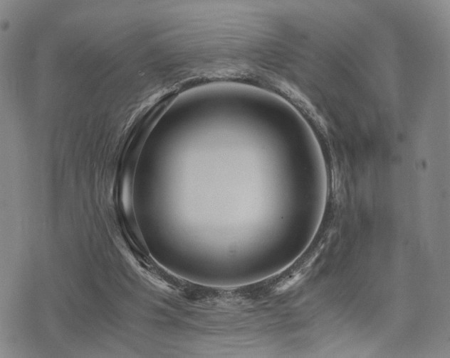 X0000076090201200609221206