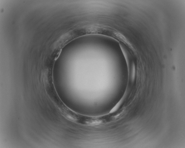 X0000076090217200609221205