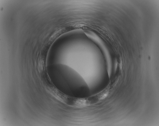 X0000076090227200609221205