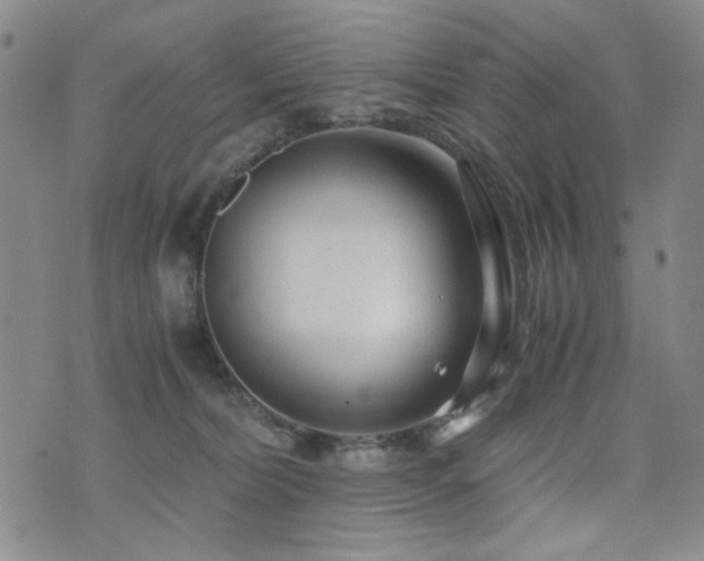X0000076090228200609221205