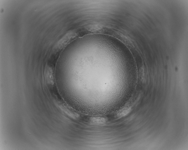 X0000076090234200609221205