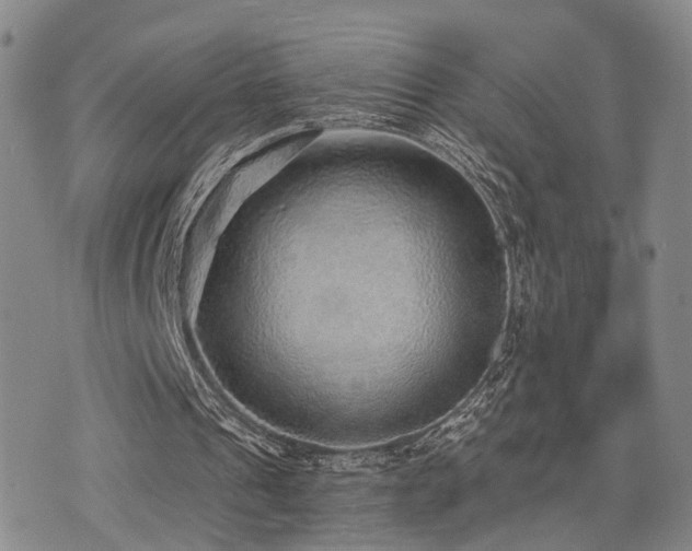X0000076090241200609221204