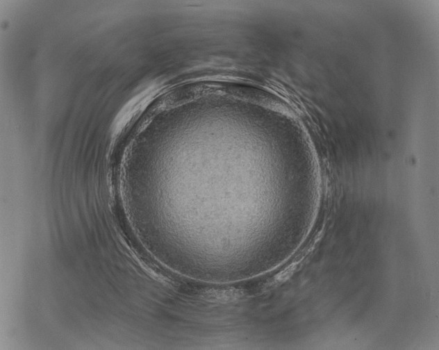 X0000076090245200609221204