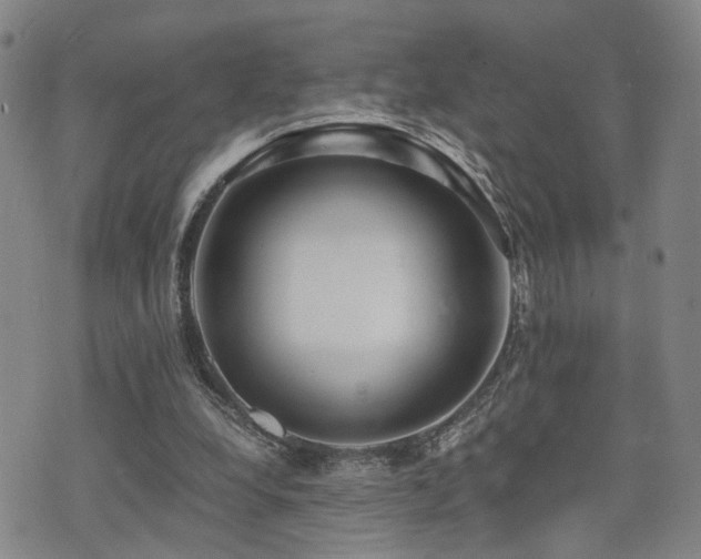 X0000076090248200609221204