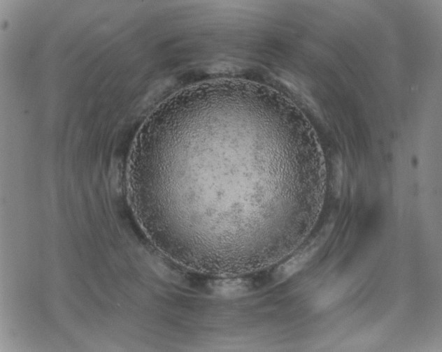 X0000076090273200609221205