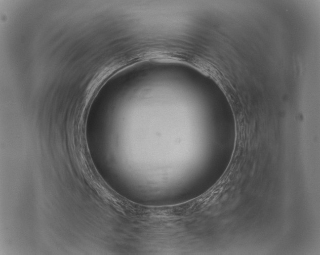 X0000076090289200609221204