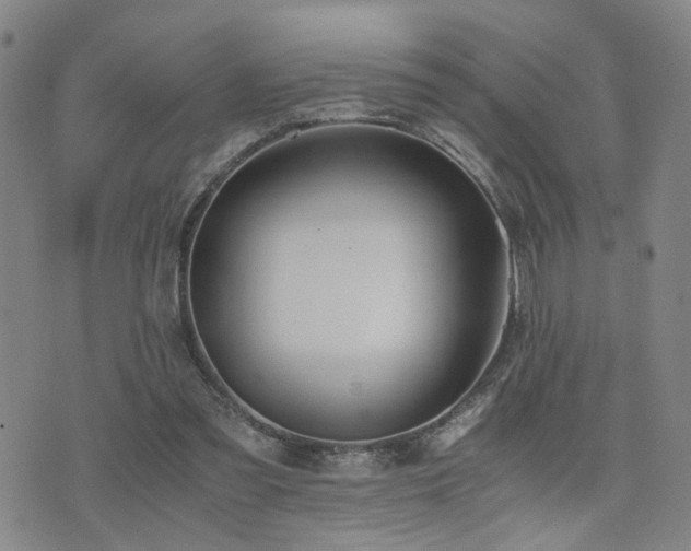 X0000076090301200609221204