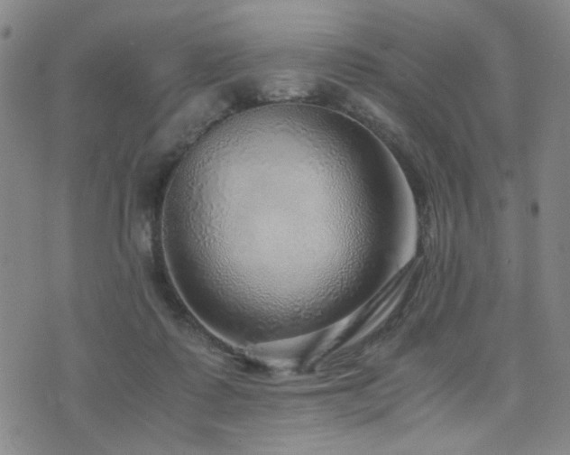 X0000076090315200609221204