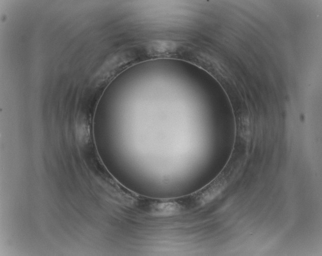X0000076090324200609221204