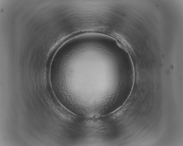 X0000076090346200609221203