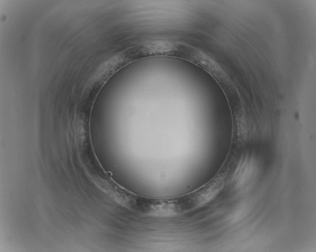 X0000076090362200609221203