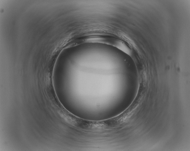 X0000076090401200609221202