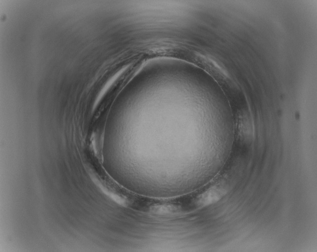 X0000076090408200609221202