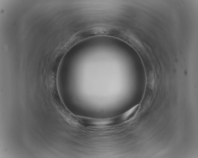 X0000076090413200609221202