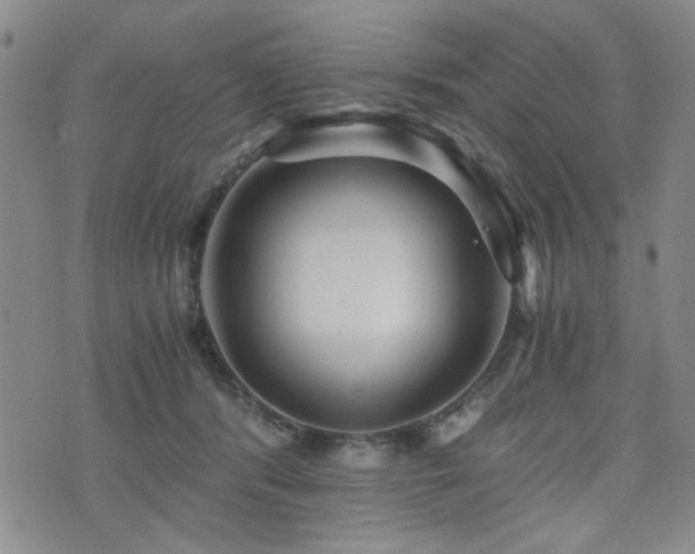 X0000076090416200609221202
