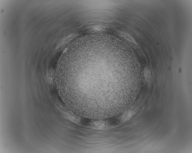 X0000076090423200609221202