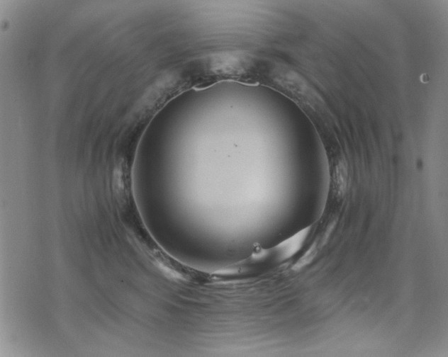 X0000076090424200609221202