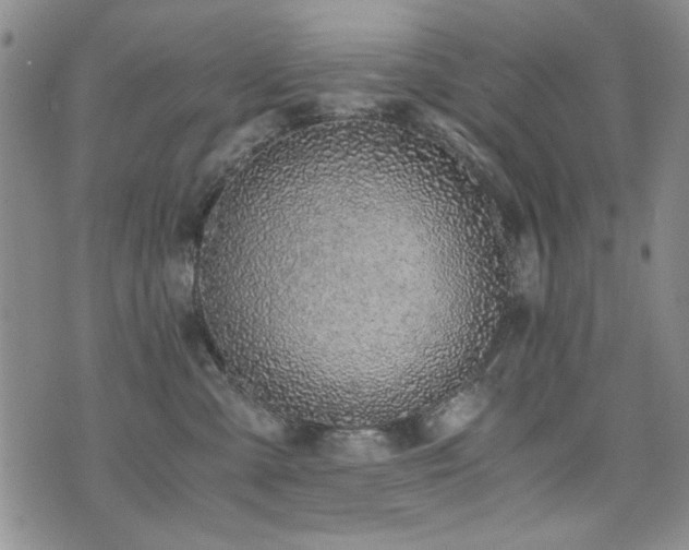 X0000076090427200609221202