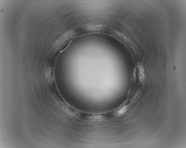 X0000076090428200609221202