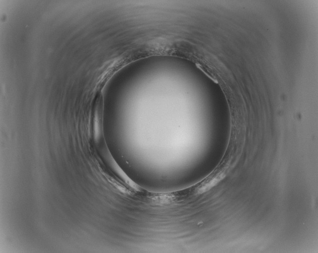 X0000076090432200609221202