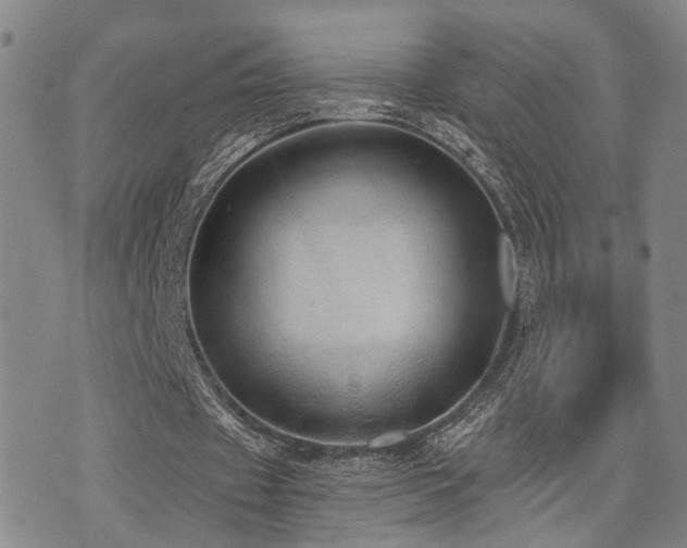 X0000076090433200609221201