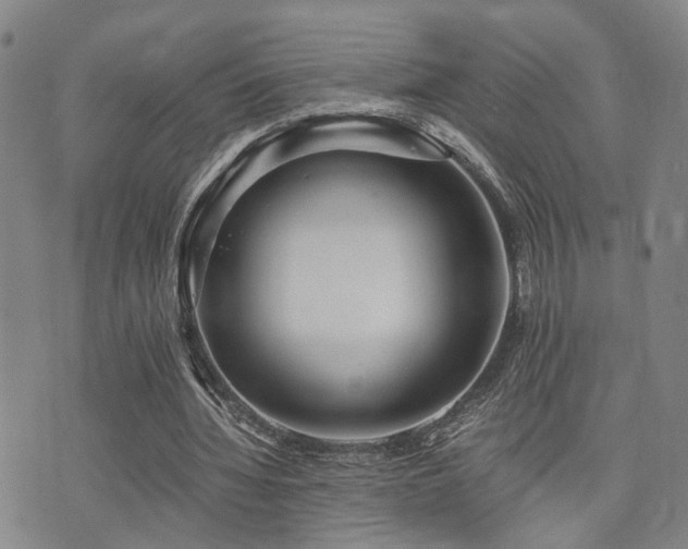 X0000076090436200609221201