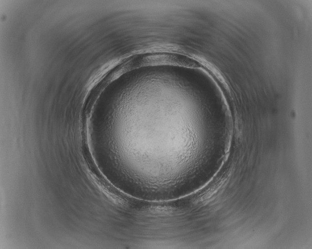 X0000076090437200609221201
