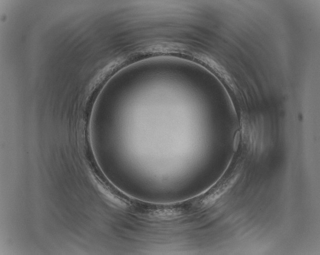 X0000076090445200609221201