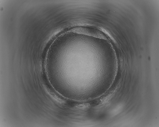 X0000076090447200609221201