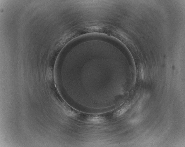 X0000076090467200609221202