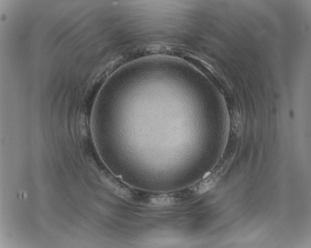 X0000076090470200609221202