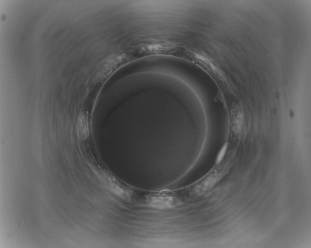 X0000076090471200609221202