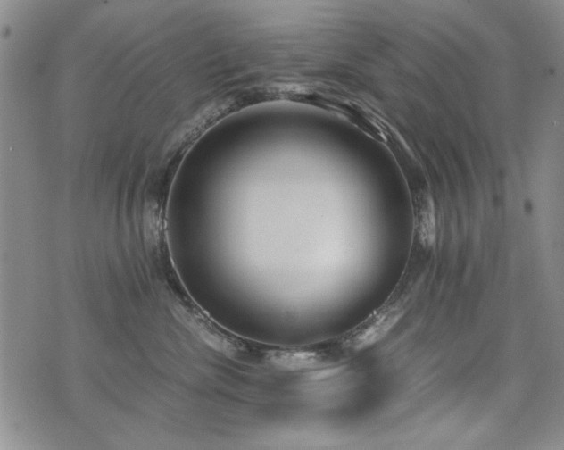 X0000076090476200609221202