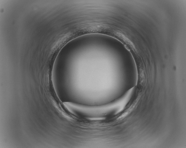 X0000076090493200609221201
