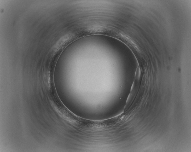 X0000076090494200609221201