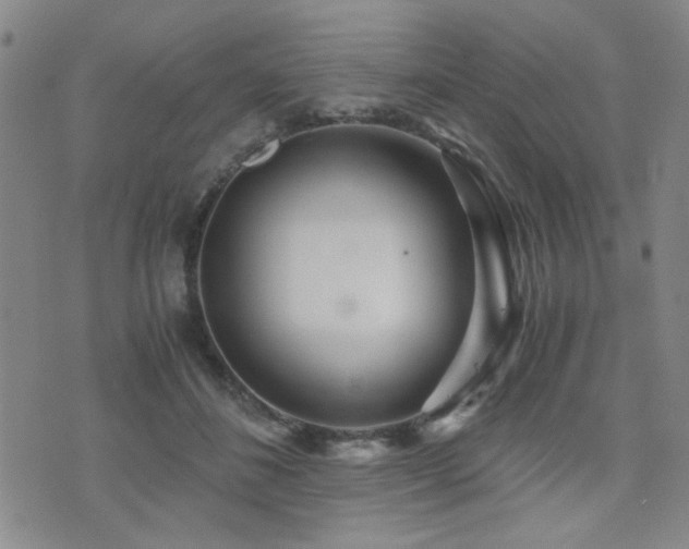 X0000076090508200609221201