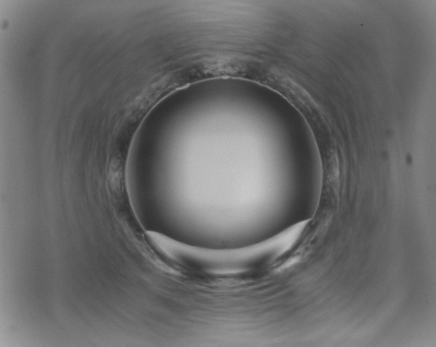X0000076090513200609221201