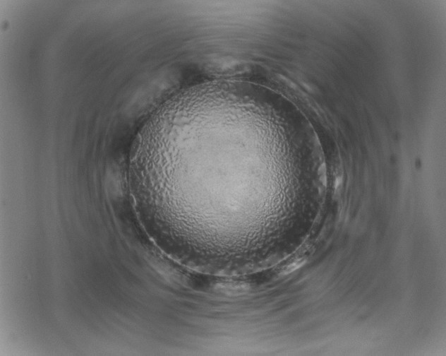 X0000076090515200609221200