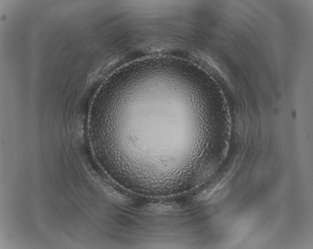 X0000076090545200609221200