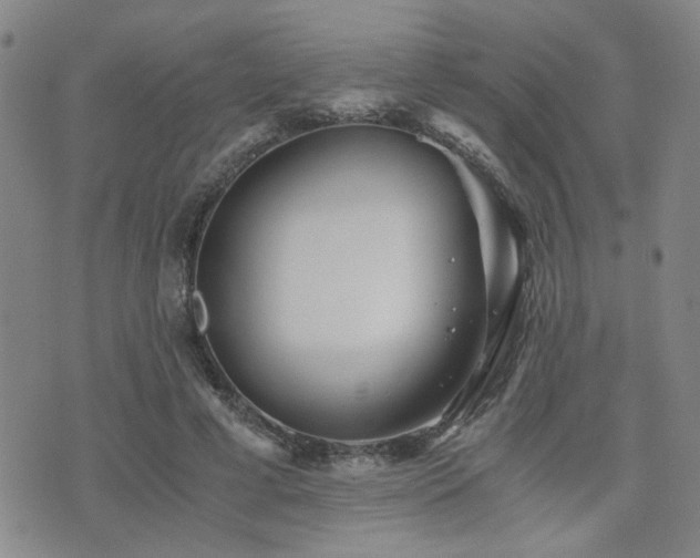 X0000076090593200609221159