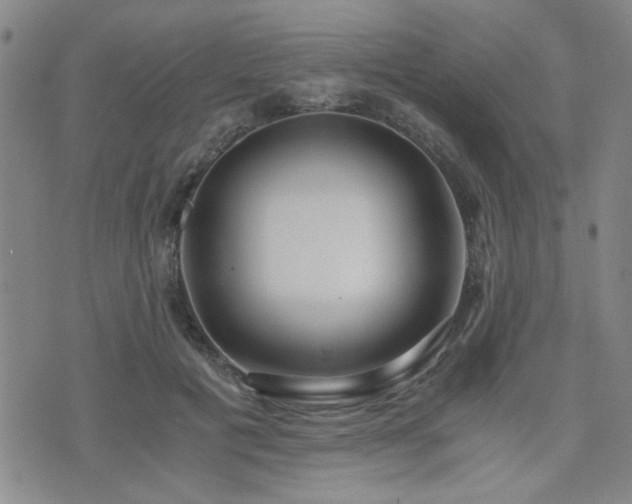 X0000076090601200609221159