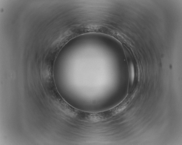 X0000076090608200609221159