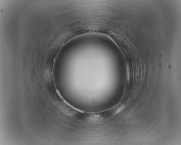 X0000076090609200609221159
