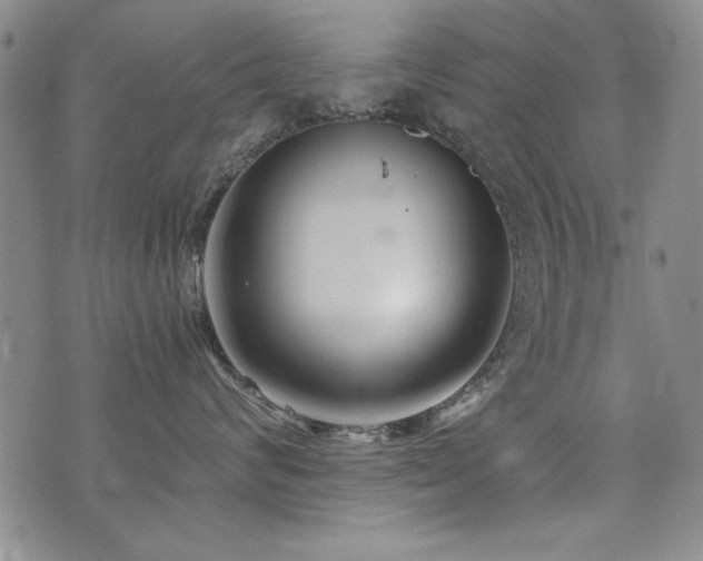 X0000076090624200609221159