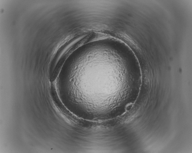 X0000076090634200609221158