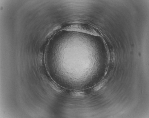 X0000076090664200609221159
