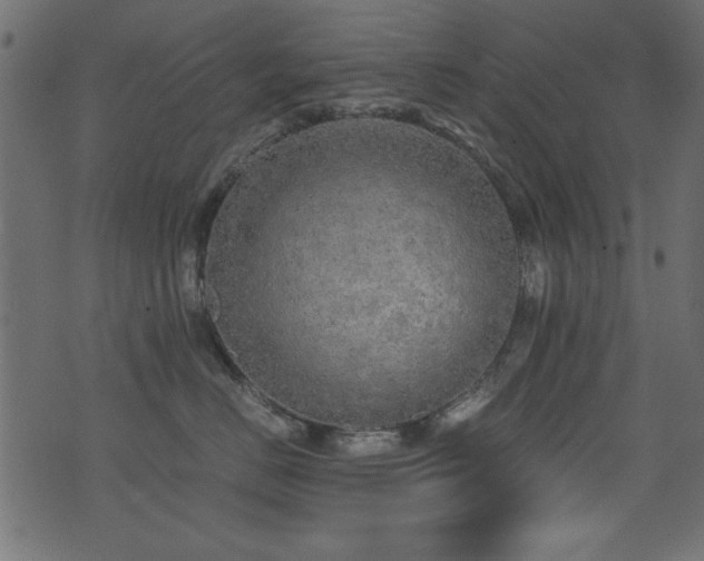 X0000076090670200609221159