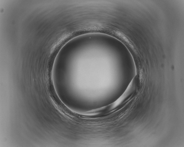 X0000076090677200609221158